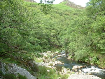 Rheidol Gorge