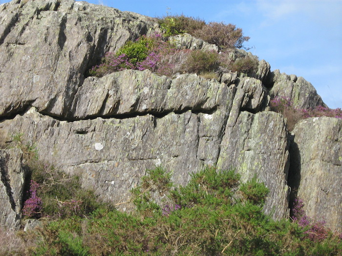 Gilfach Crags - Concretions in one bed, eroded away