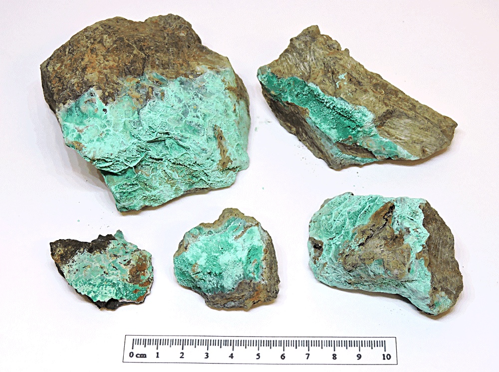 Chrysocolla 1, Geufron. (CWO)