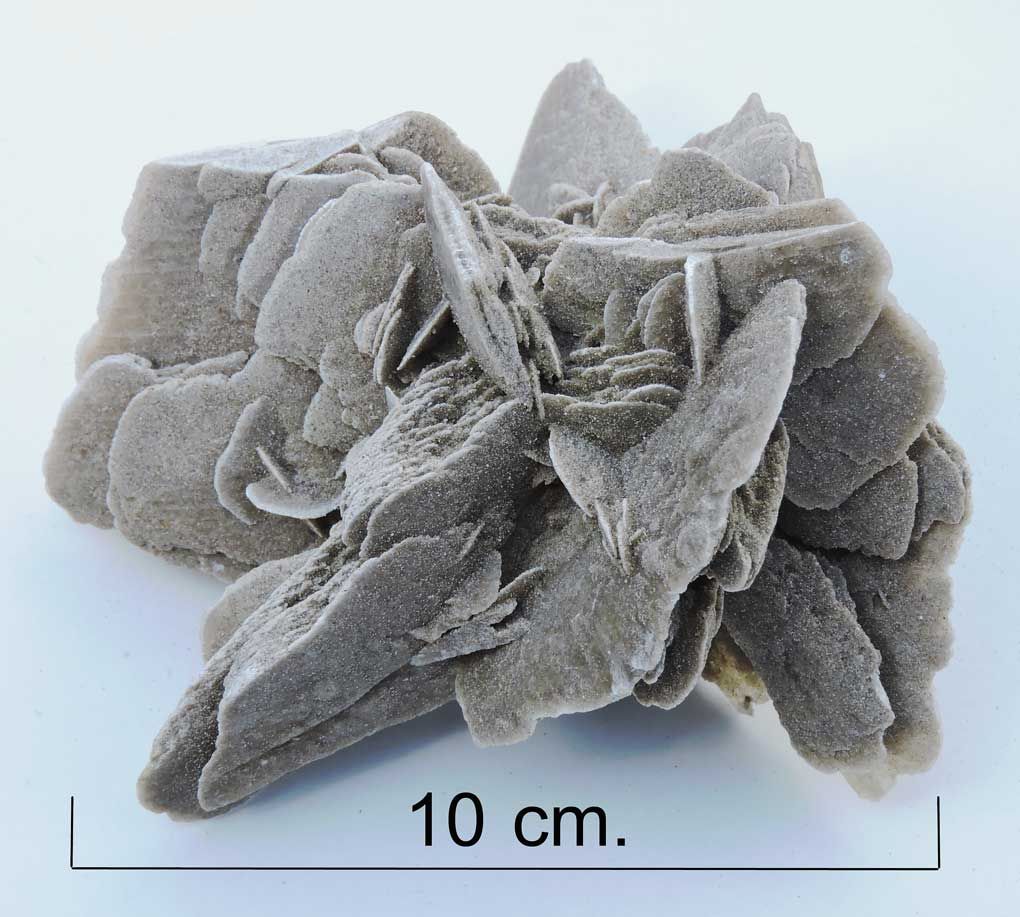 Selenite ( Desert rose var. ). Chihuahua.