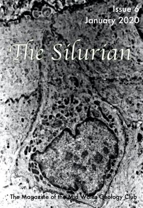 The Silurian