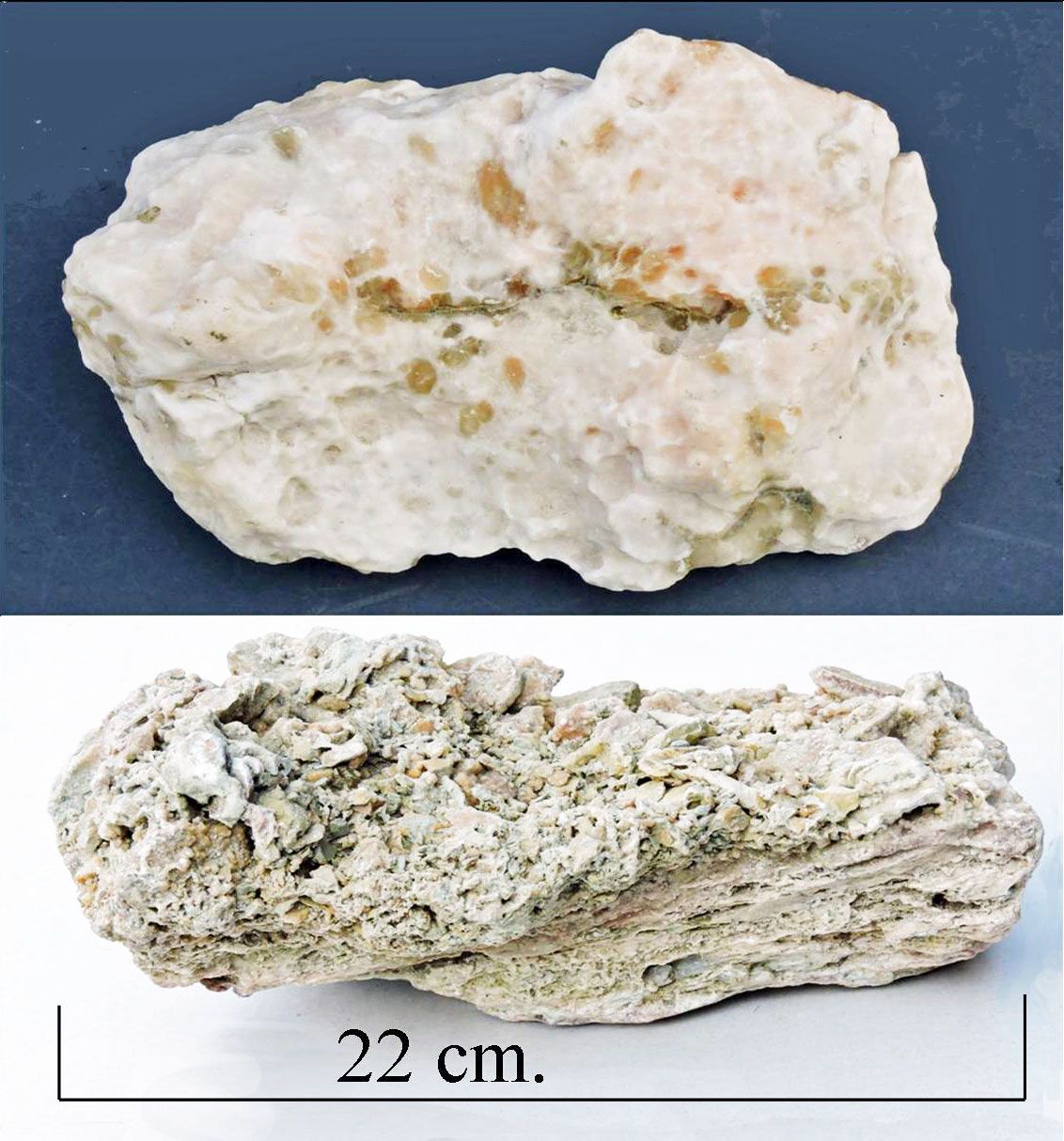 Gypsum, sedimentary,  Penarth.