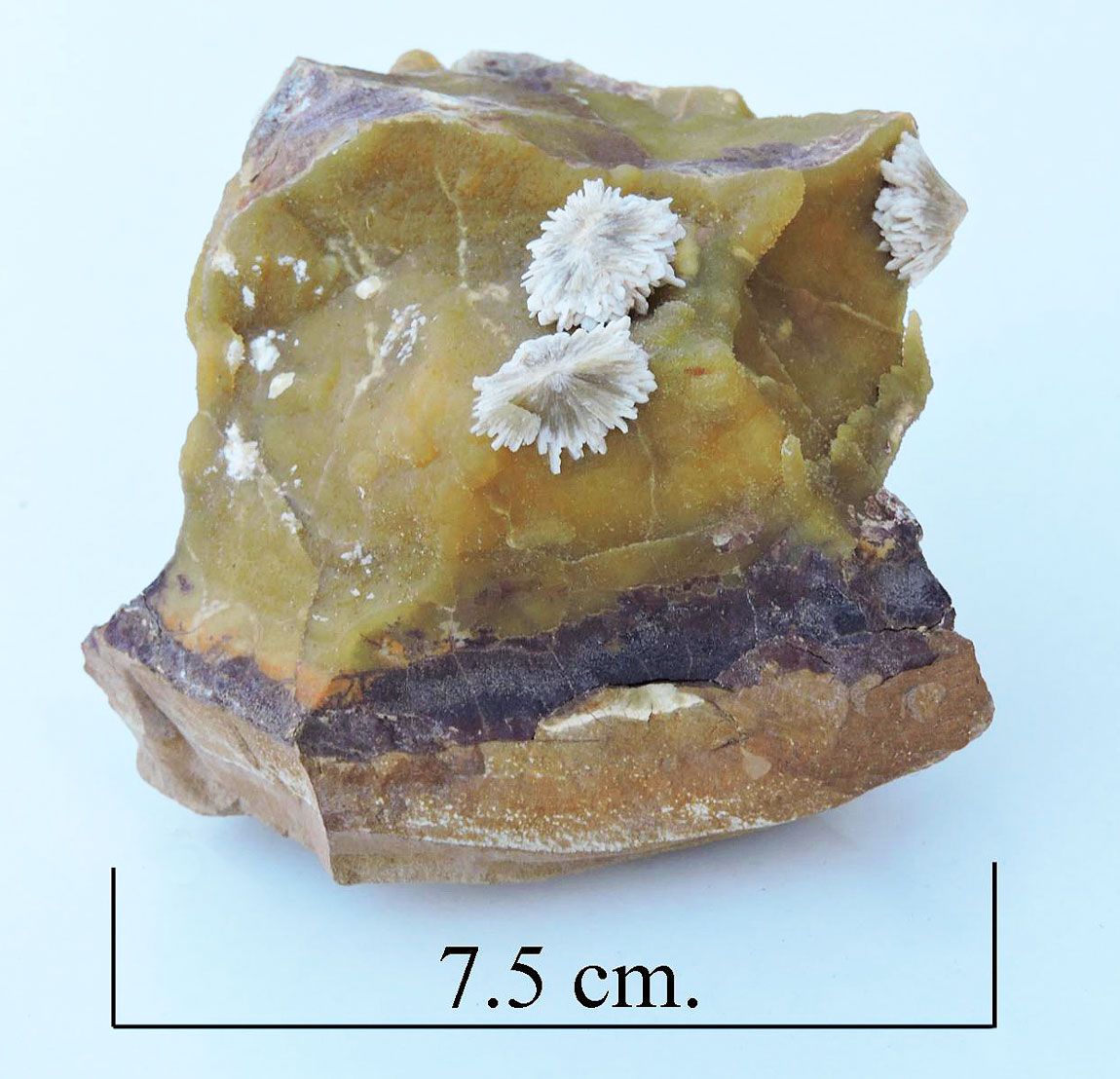 Baryte on calcite. Isle of Sheppey.