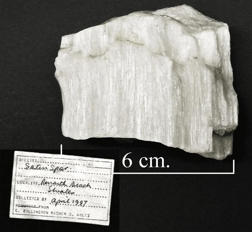 Gypsum, satin spar var. Penarth.