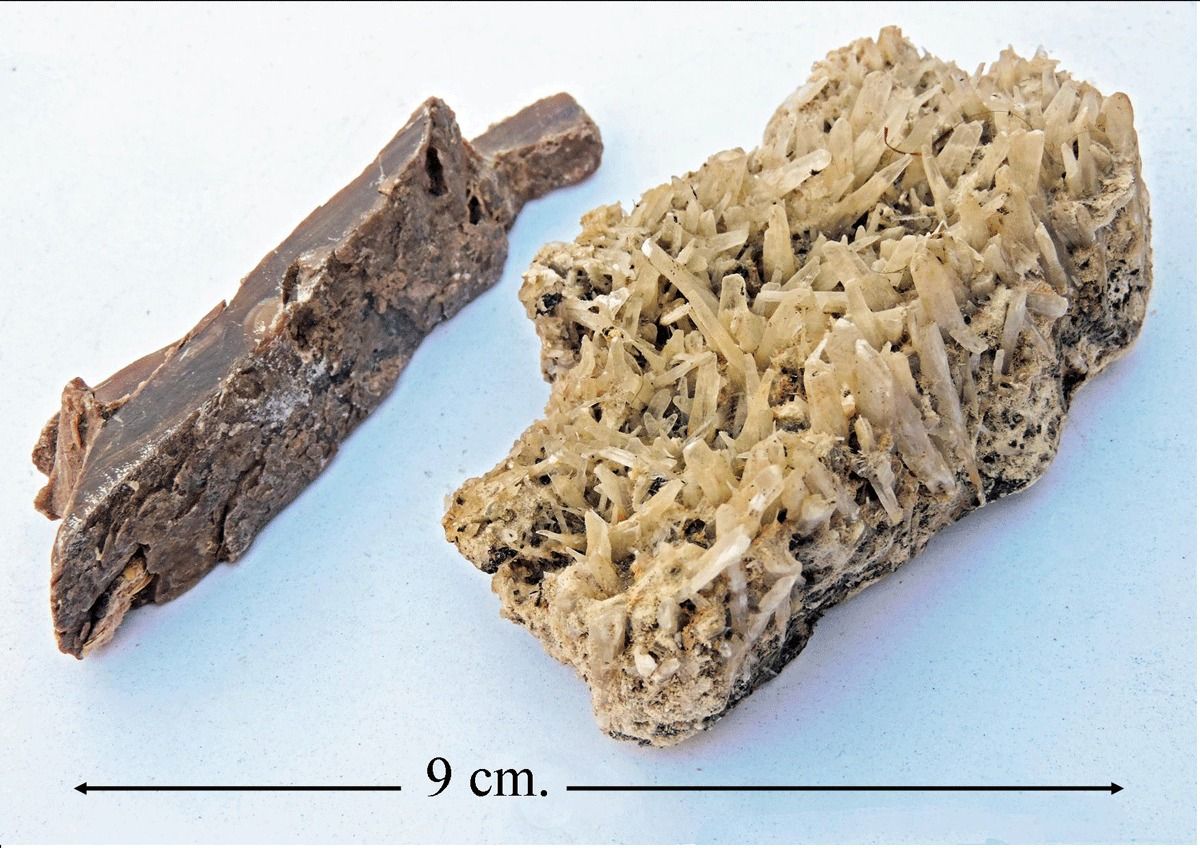 Gypsum,  S.Australia.