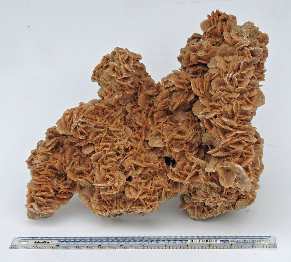 Gypsum, Desert rose var.  Morocco.