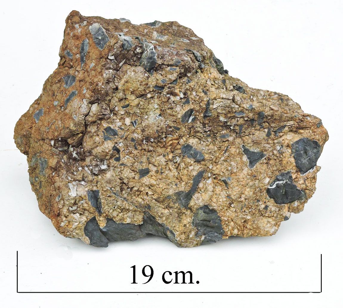 Hydrothermal Breccia.