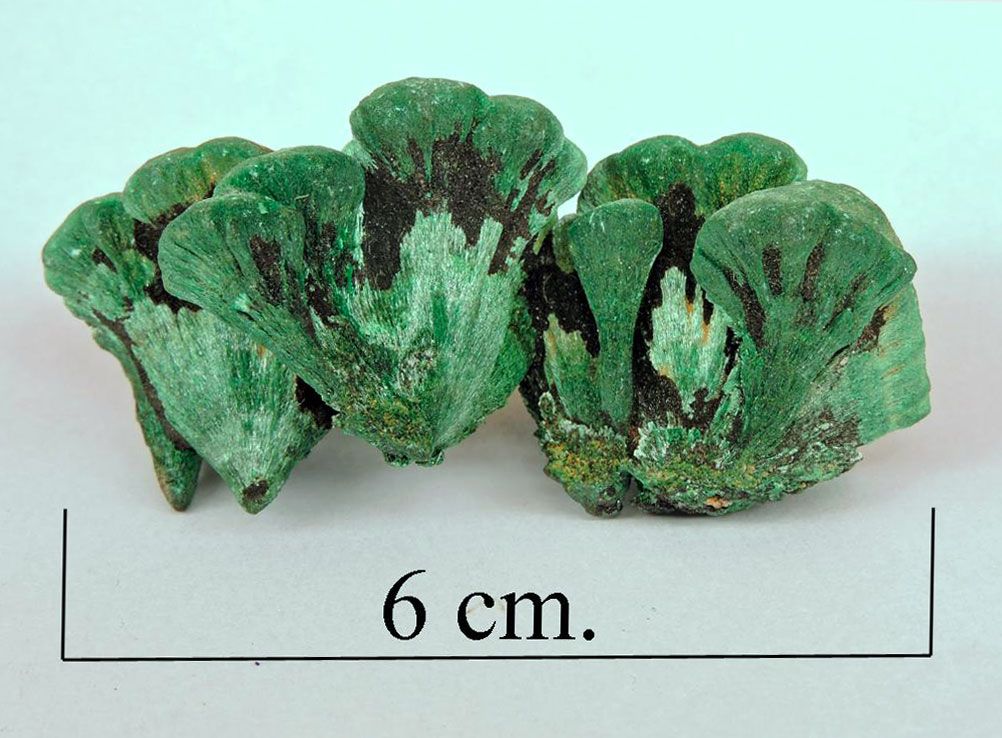 Malachite,  Katanga prov. Congo.