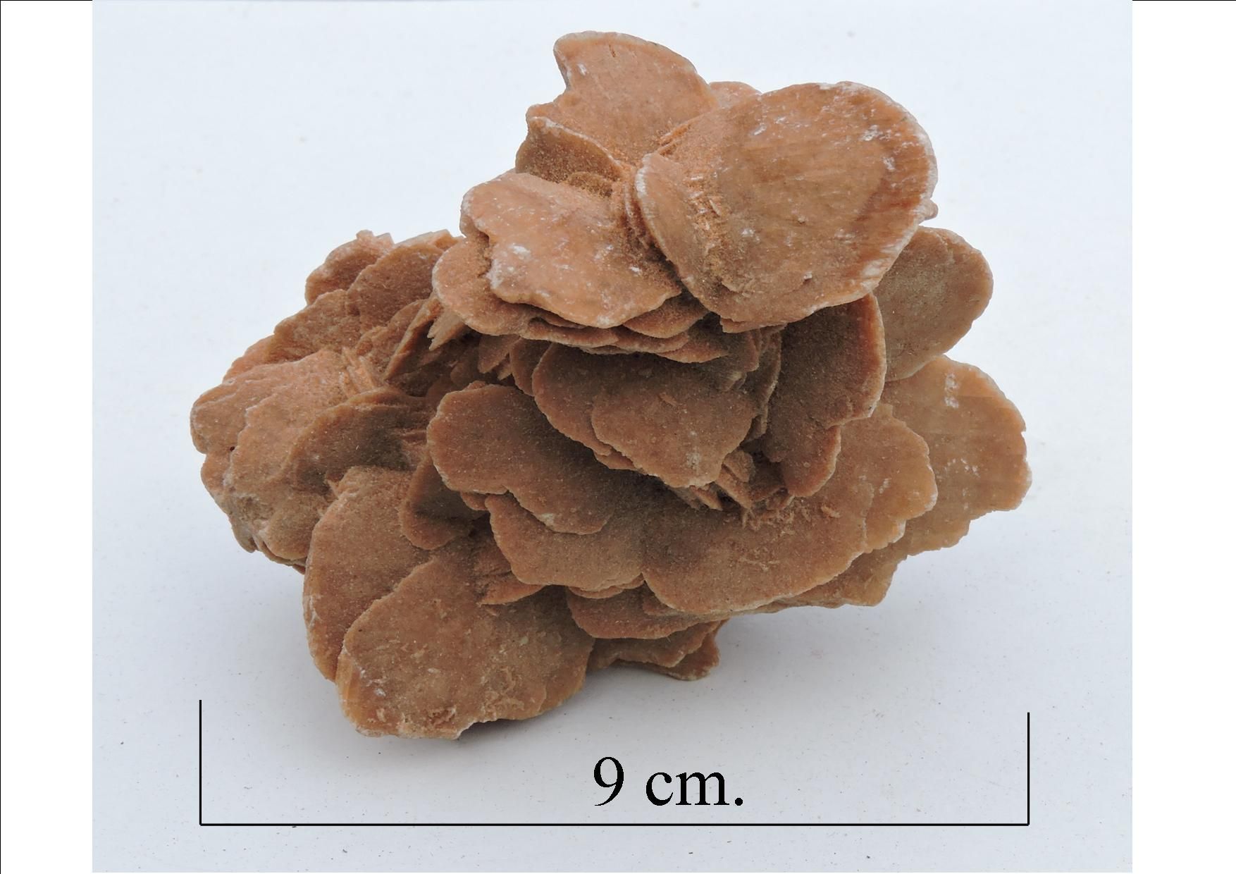 Gypsum, Desert rose var.