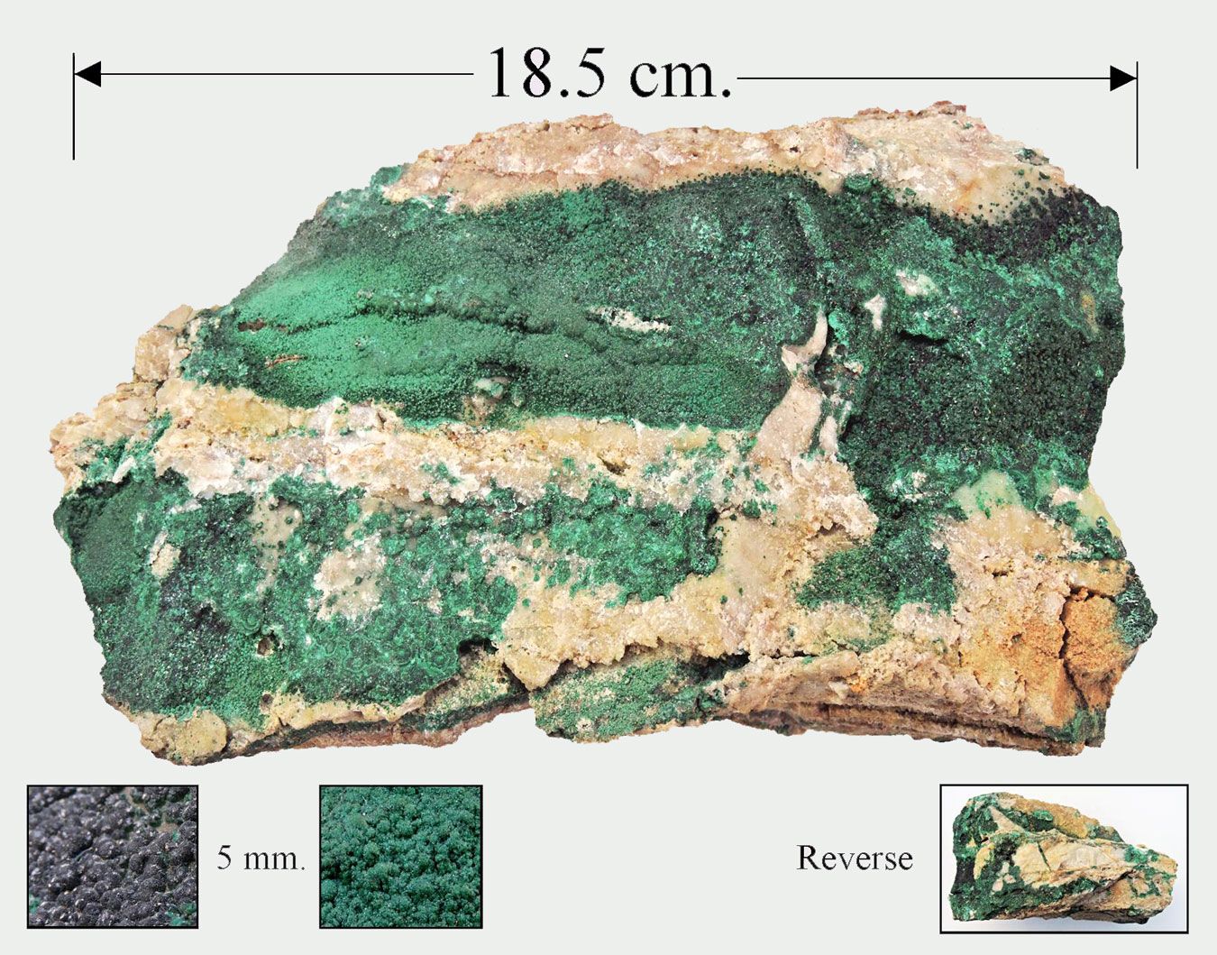 Brochantite,  Australia.