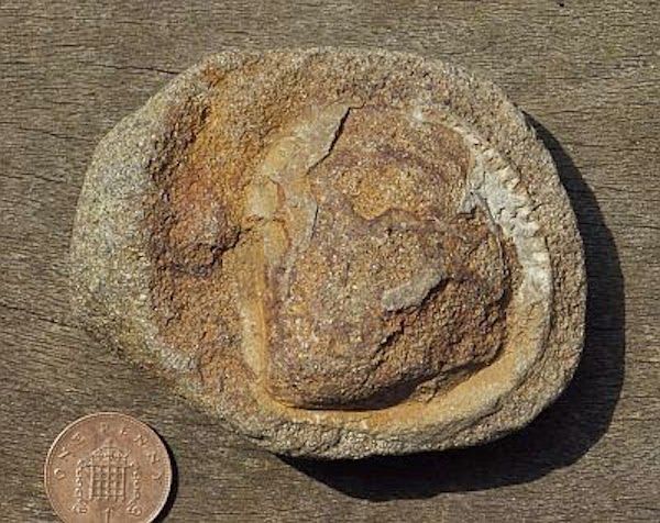 tim-400-boxstone-with-penny