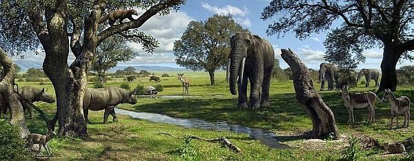 tim-600-1-wildlife-of-the-miocene-era-artwork-mauricio-anton-1
