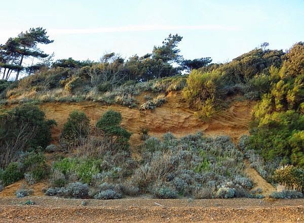 tim-600-bawdsey-cliff-0114