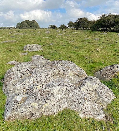 stoneheng-Silcrete-boulders-copy-1