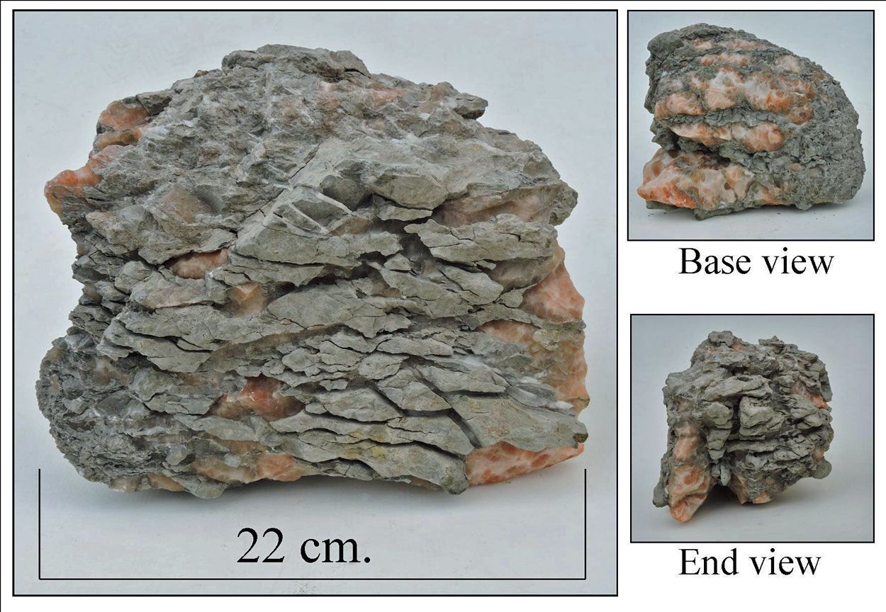 Triassic mudstone.  Blue Anchor bay.