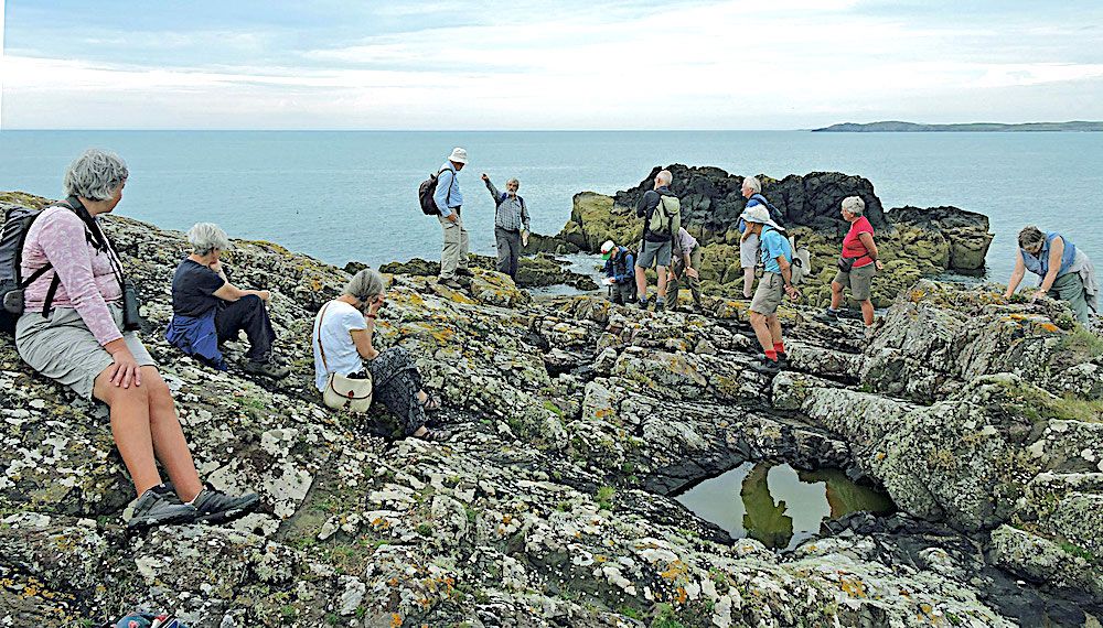 Summer weekend 2023 to Anglesey led by Rob Crossley -Melange on Llanddwyn Island