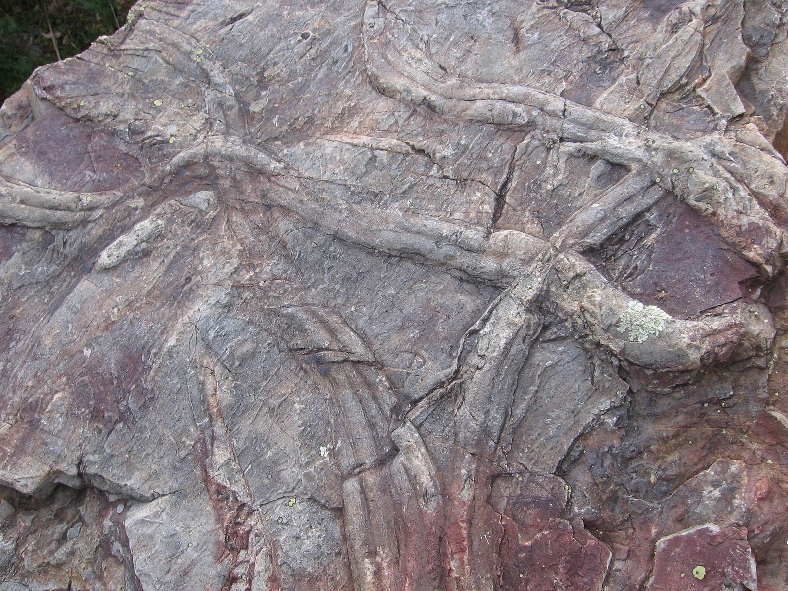 CruzianaPenhaGarcia.JPG