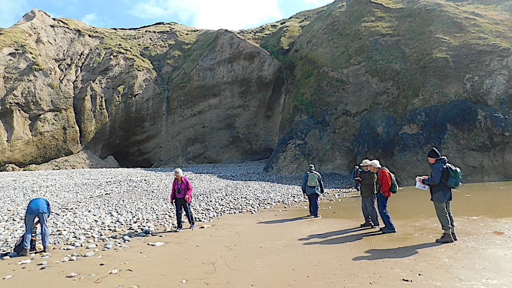 Summer weekend 2024 to Lleyn led by Rob Crossley -Club members exploring the Eastern side of Aberdaron beach